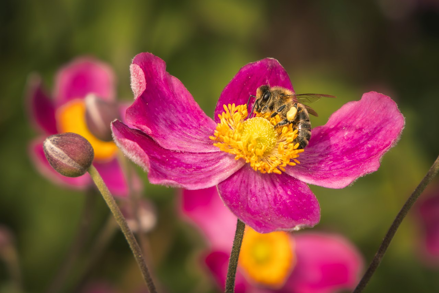 Screenshot (109).png