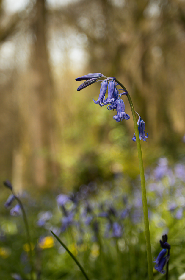 Screenshot (472).png