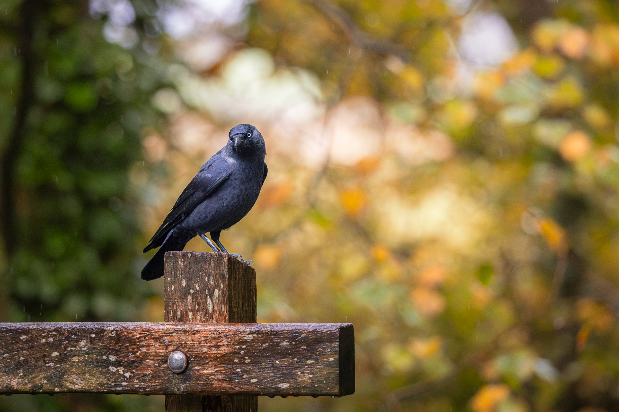 Screenshot 2025-12-25 130251.png