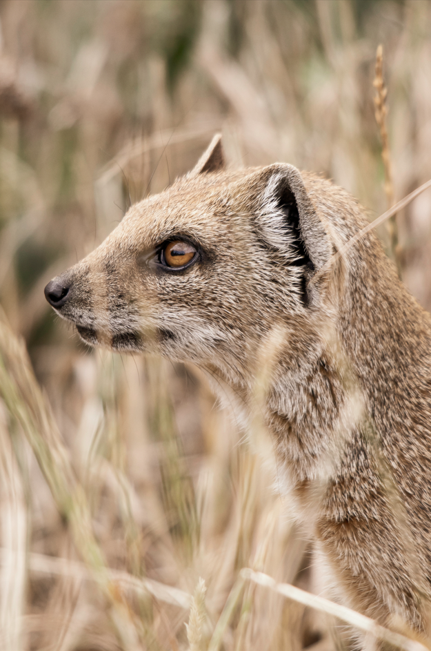 Screenshot (310).png