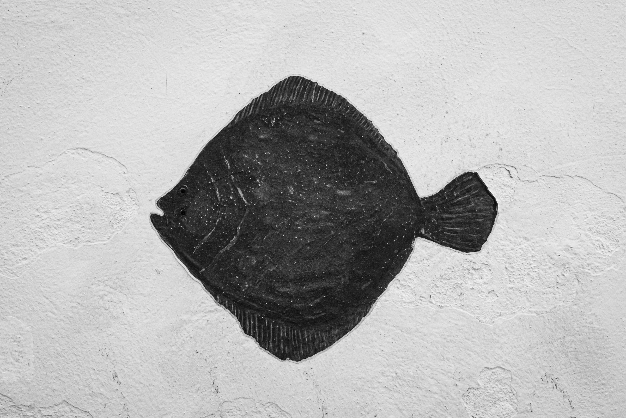 Screenshot 2026-02-05 004452.png