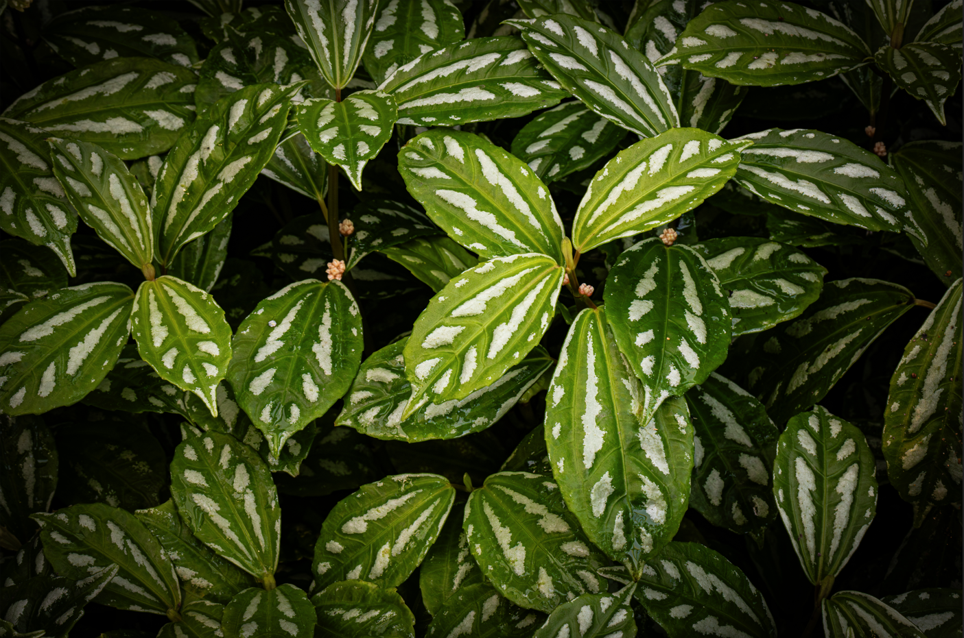 {35959D97-75AF-41D8-924D-0F2A75FF72FA}.png