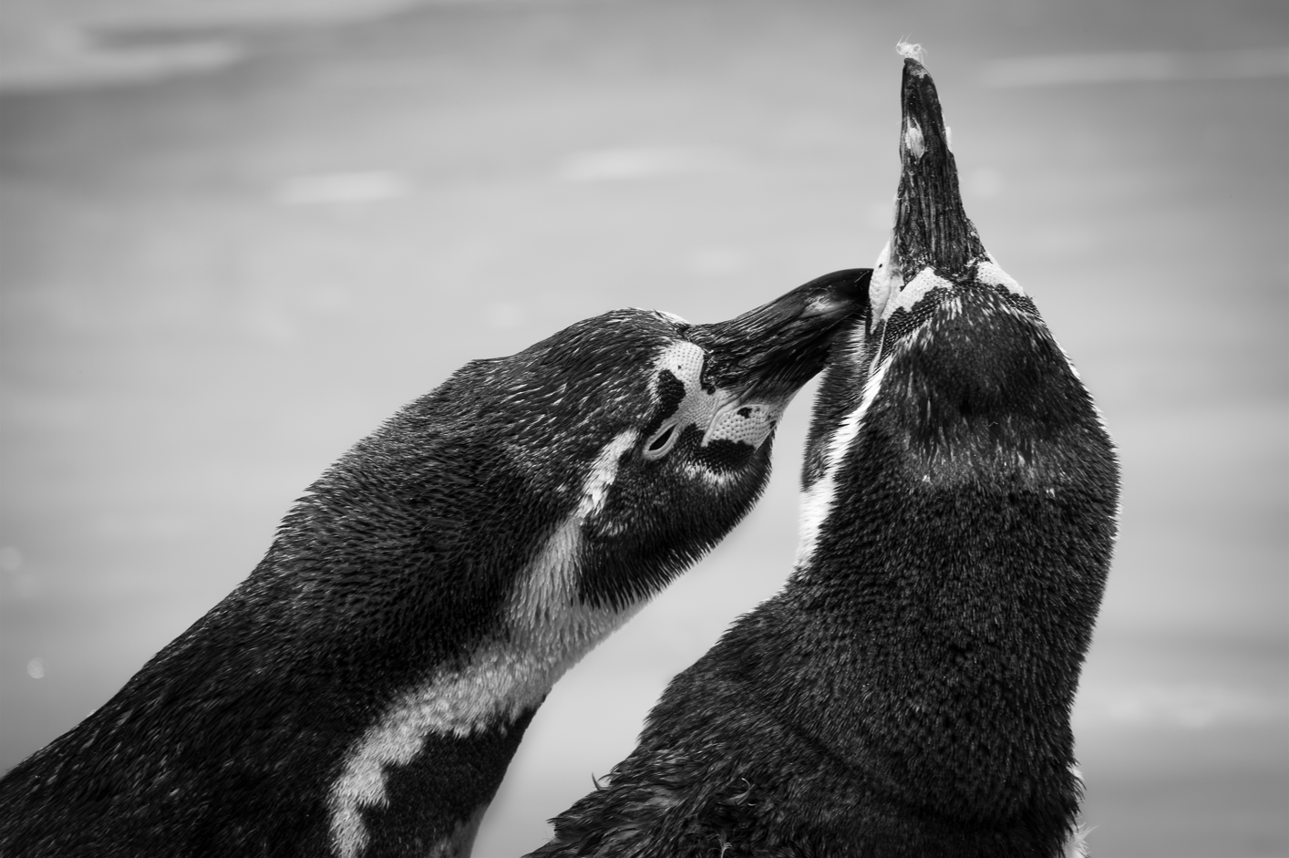 Screenshot (220).png