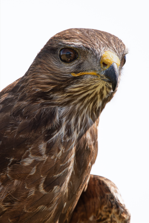 Screenshot (259).png