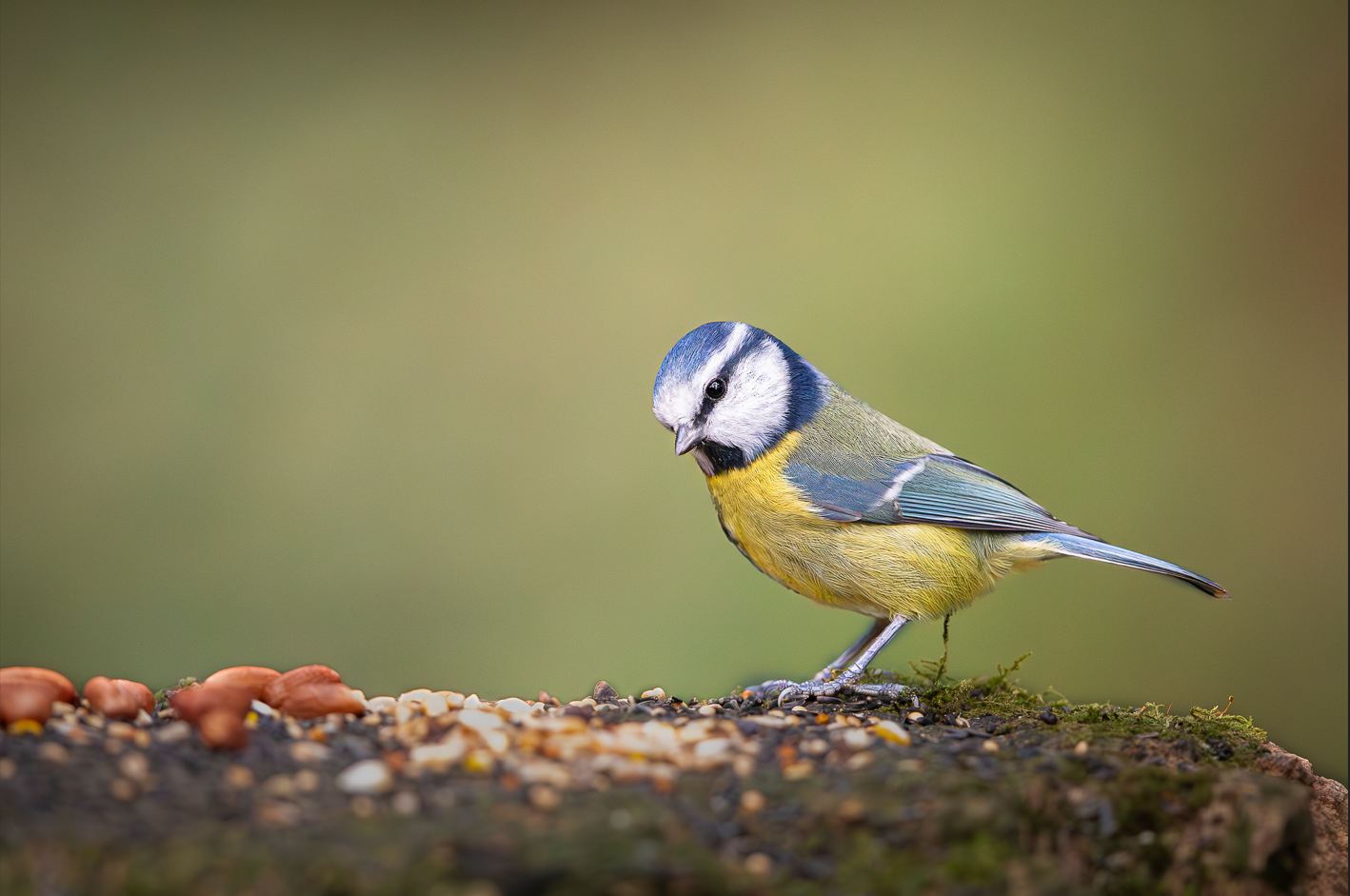 Screenshot (120).png