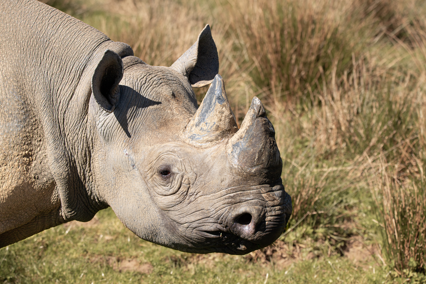 Screenshot (275).png