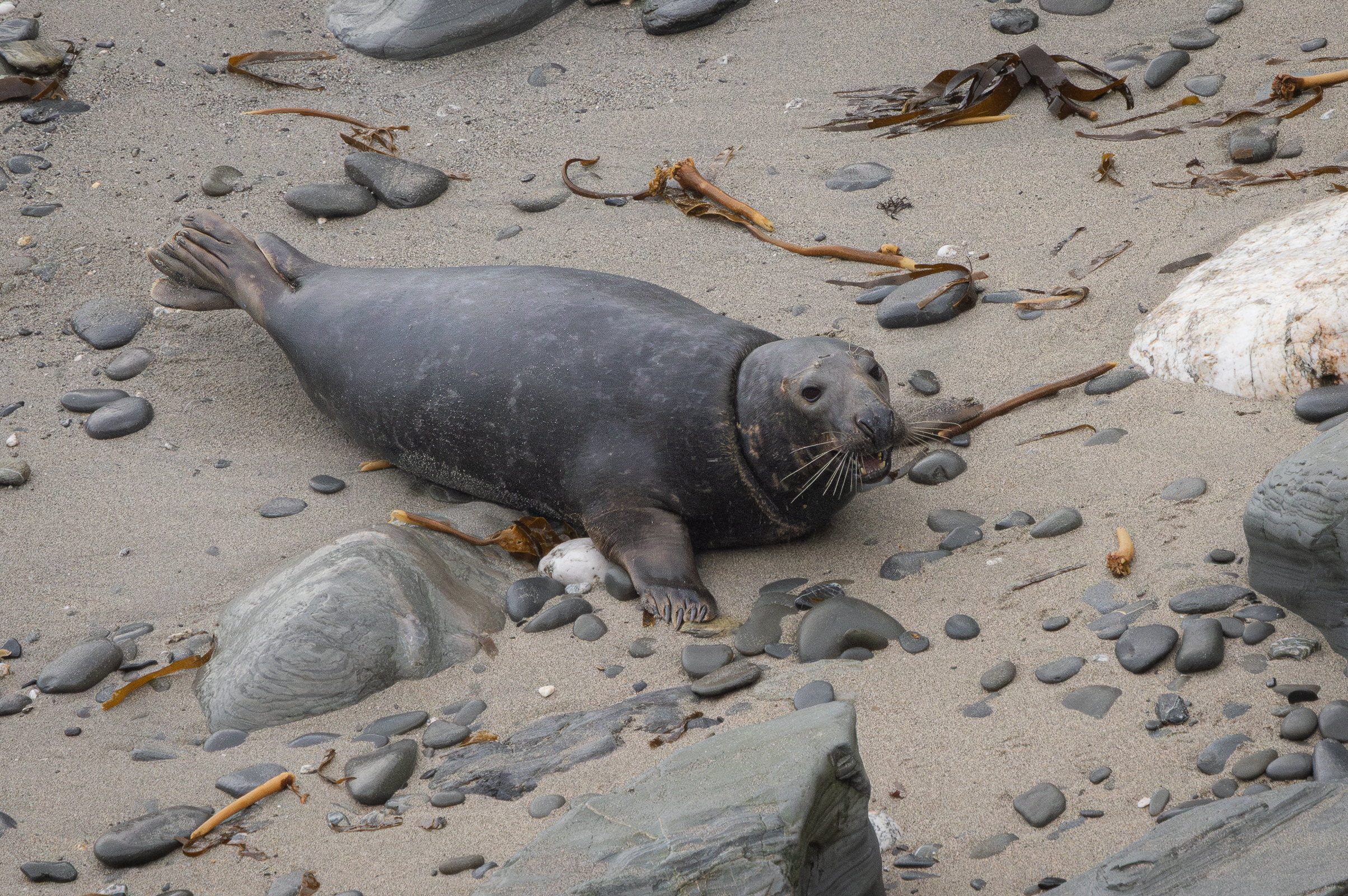 Screenshot 2026-02-04 224542.png