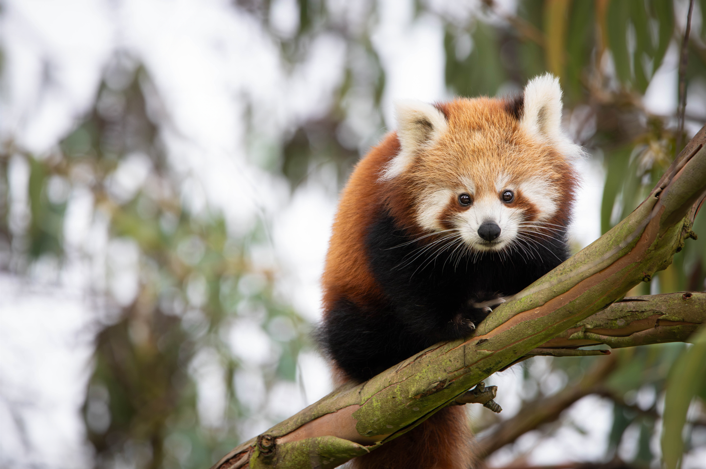 Screenshot (228).png