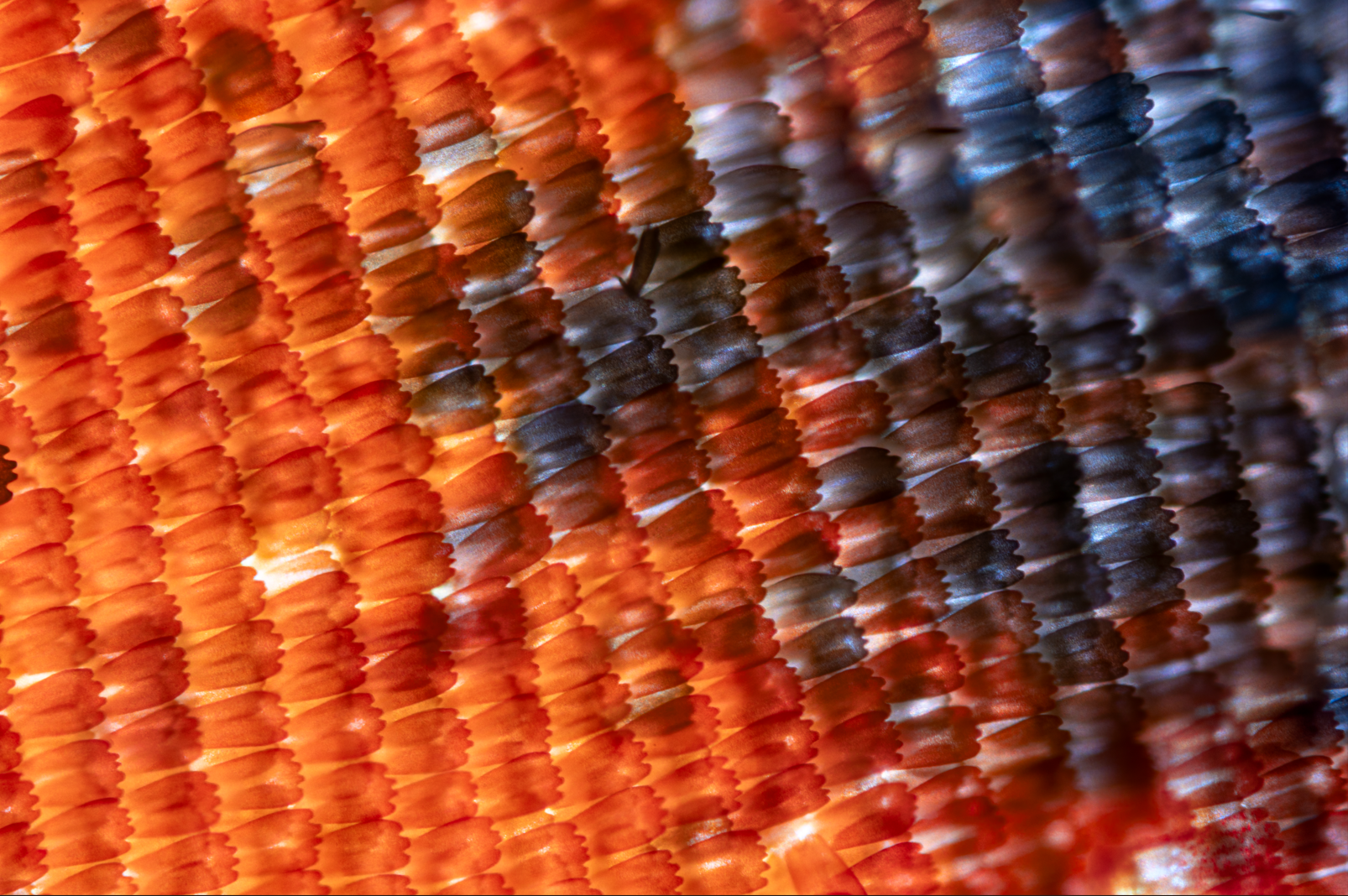 Screenshot 2025-12-20 230758.png