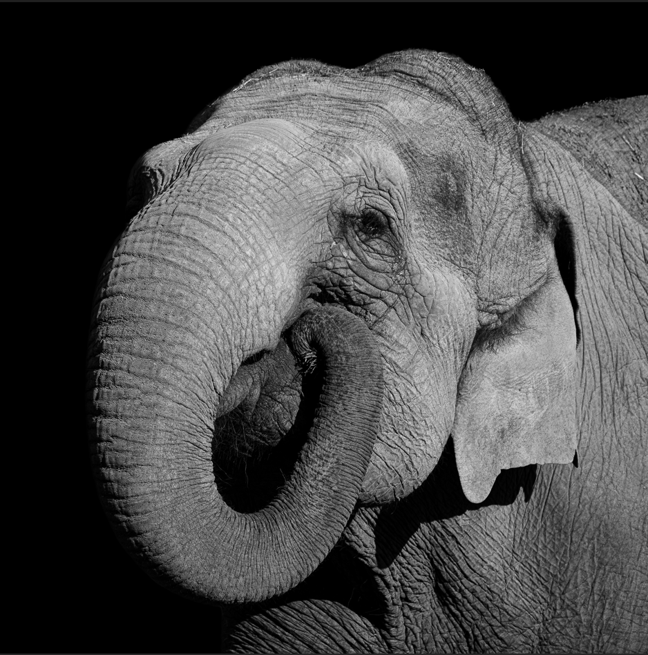 Screenshot (234).png