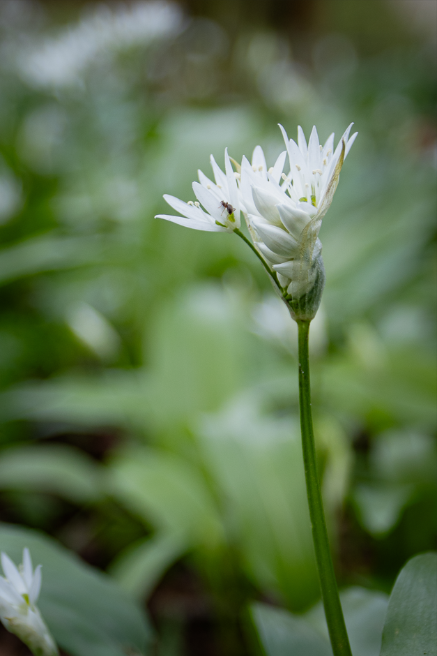 Screenshot (461).png