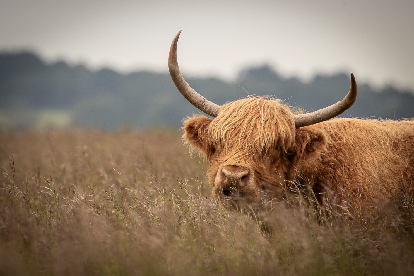 Screenshot (213).png