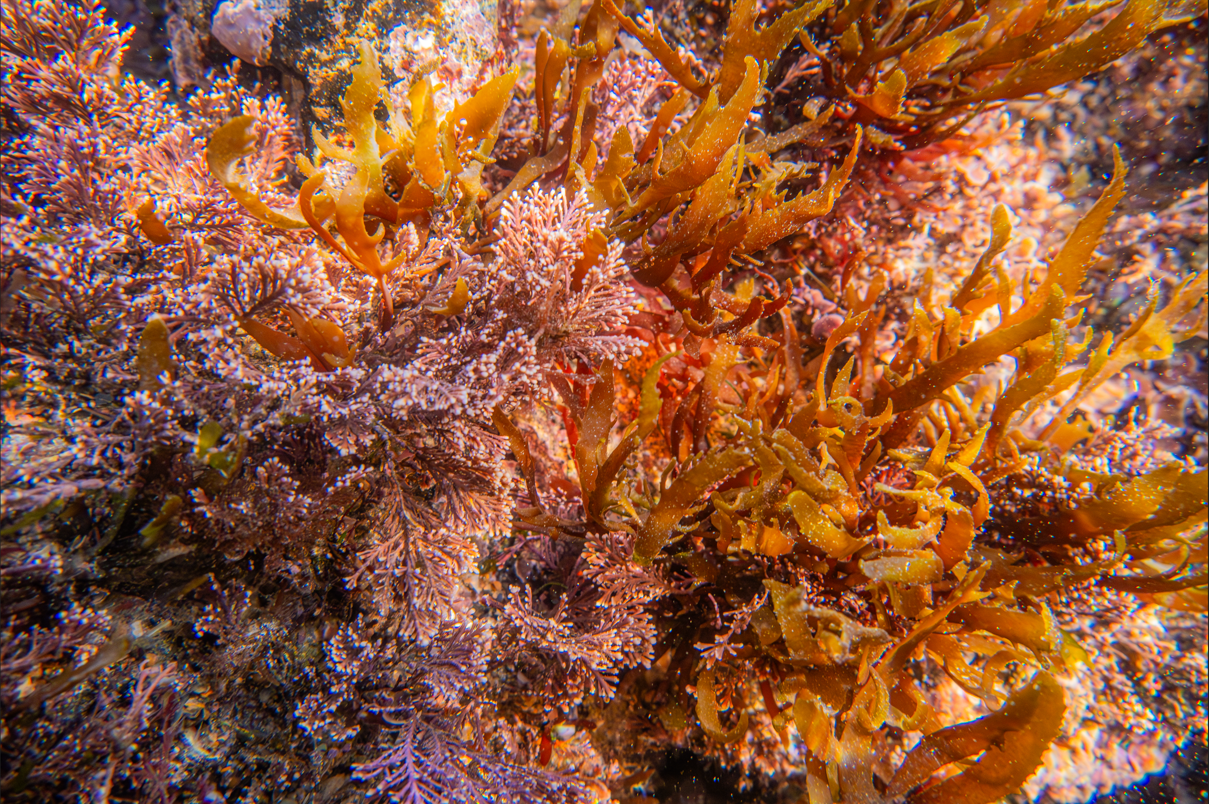 Screenshot 2025-05-22 220510.png