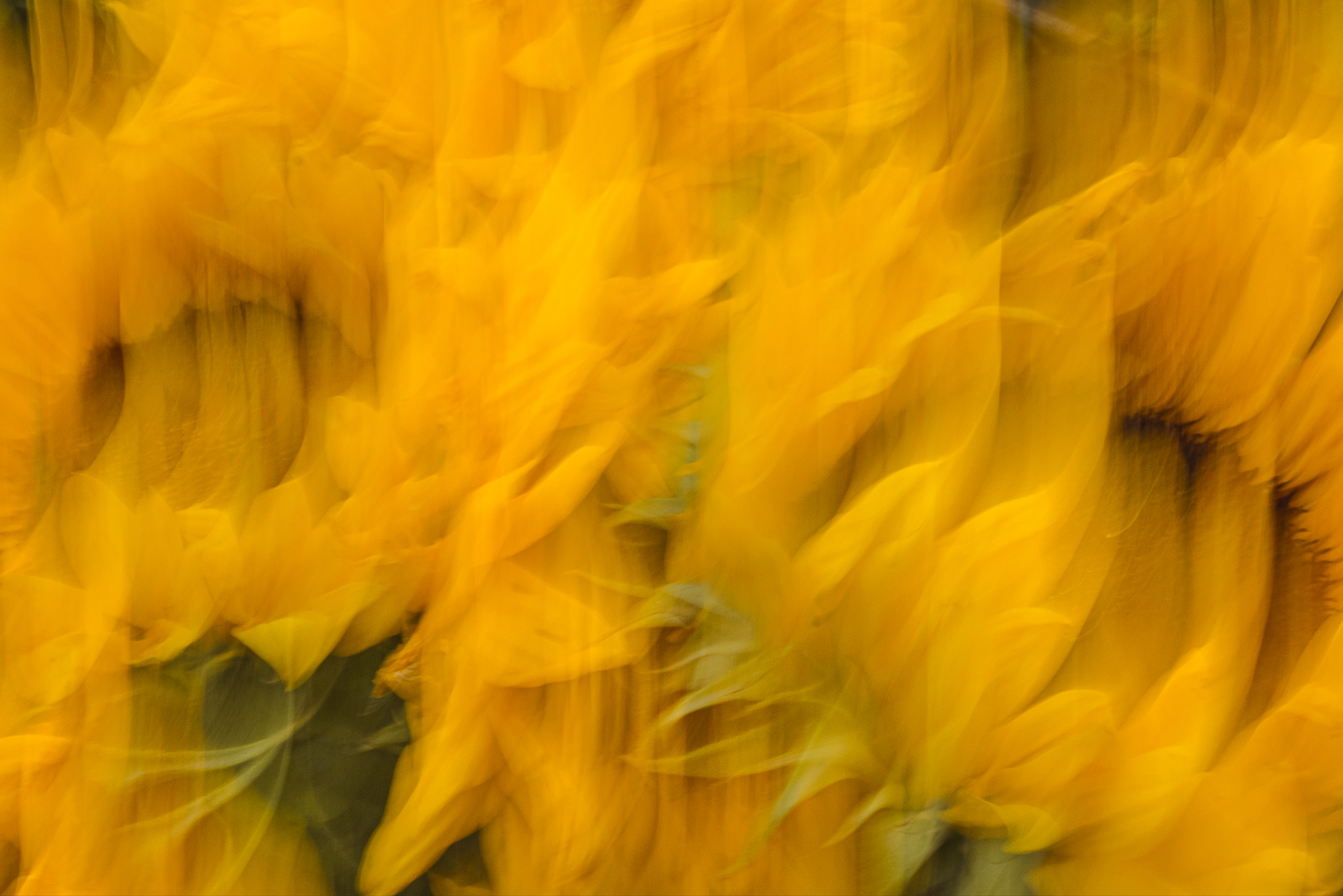 Screenshot (198).png