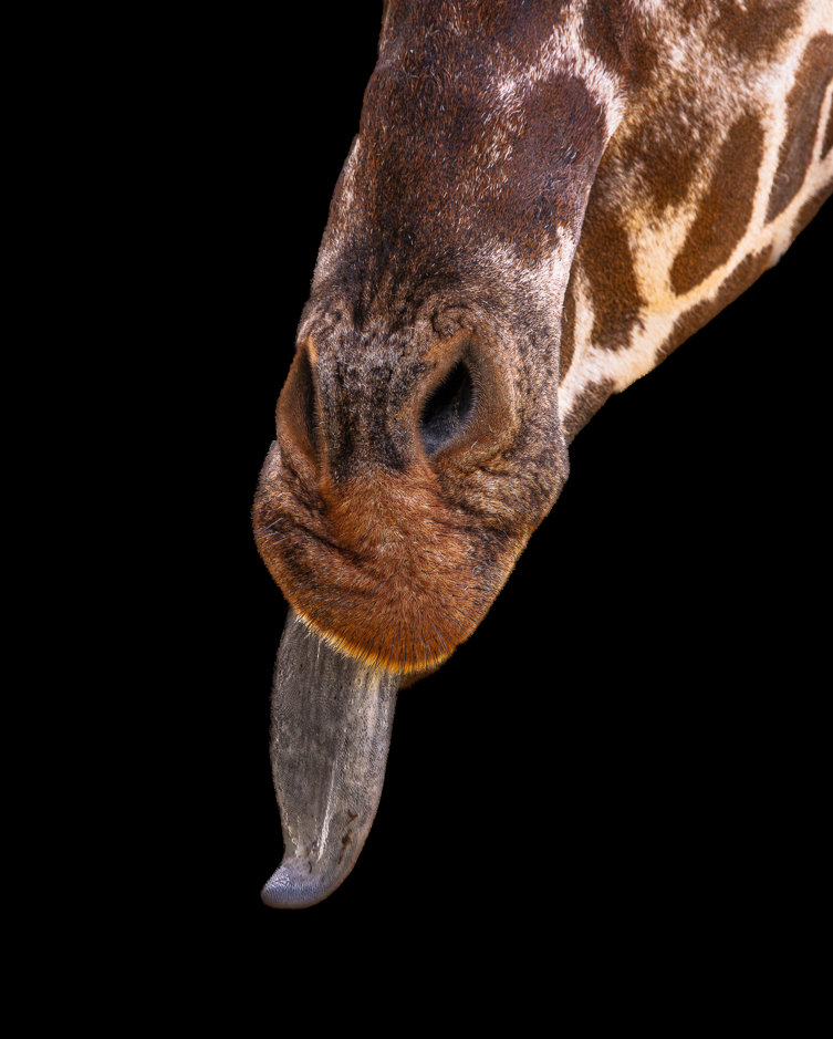 Screenshot (232).png