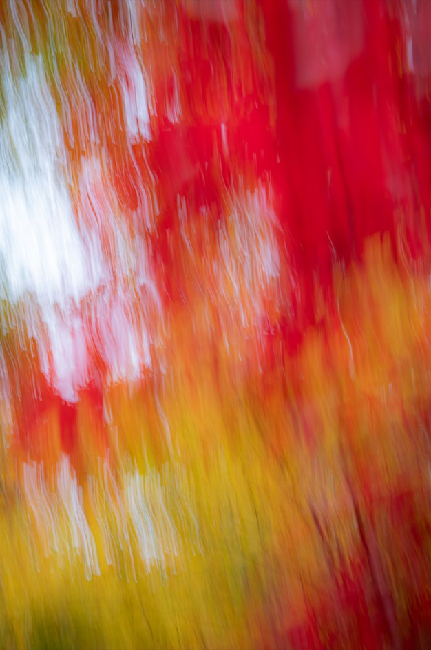 Screenshot (153).png