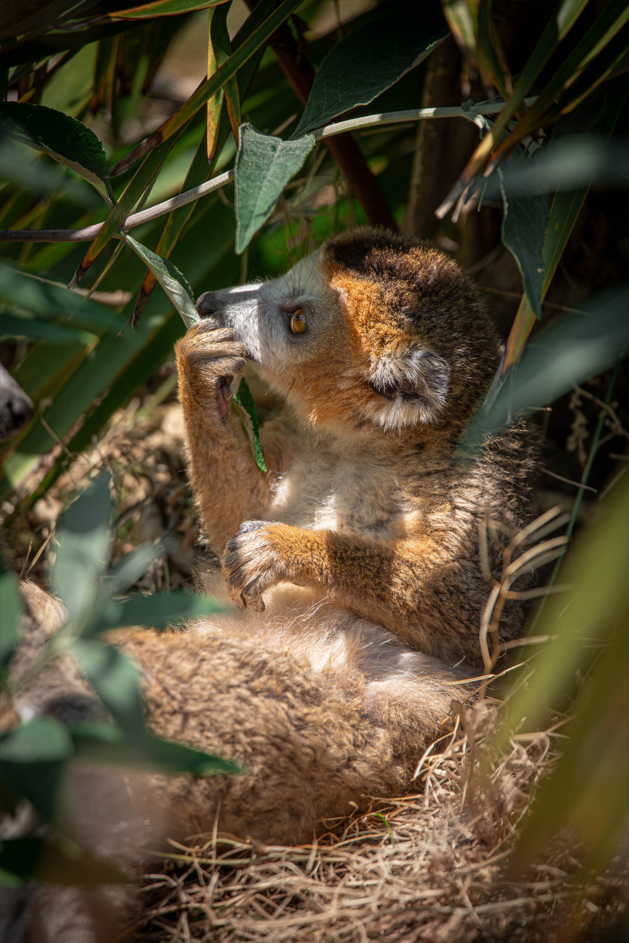 Screenshot (304).png