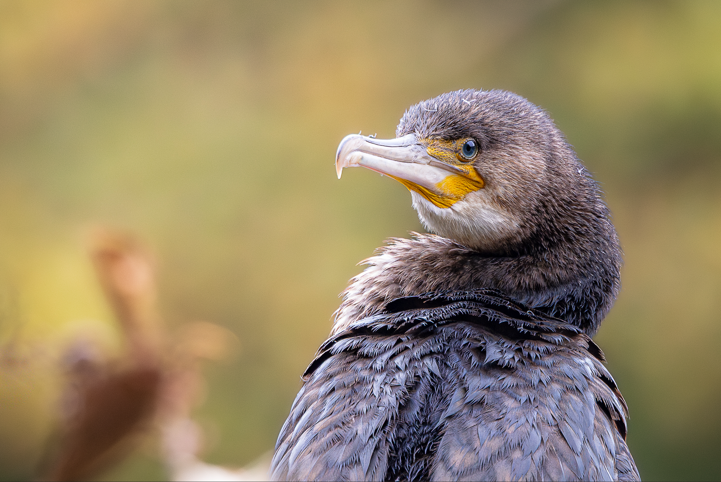 Screenshot 2025-12-25 130257.png