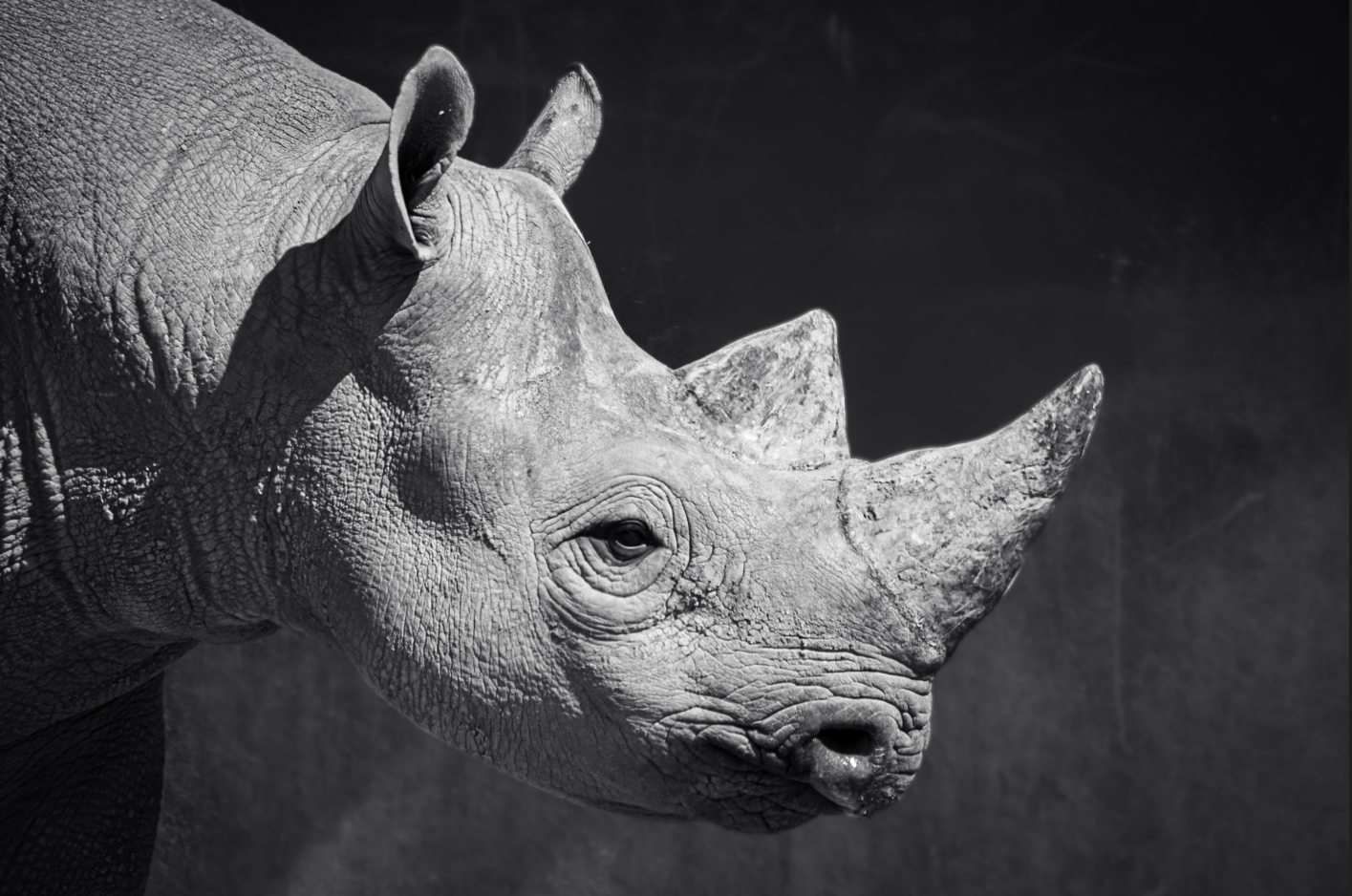 Screenshot (274).png