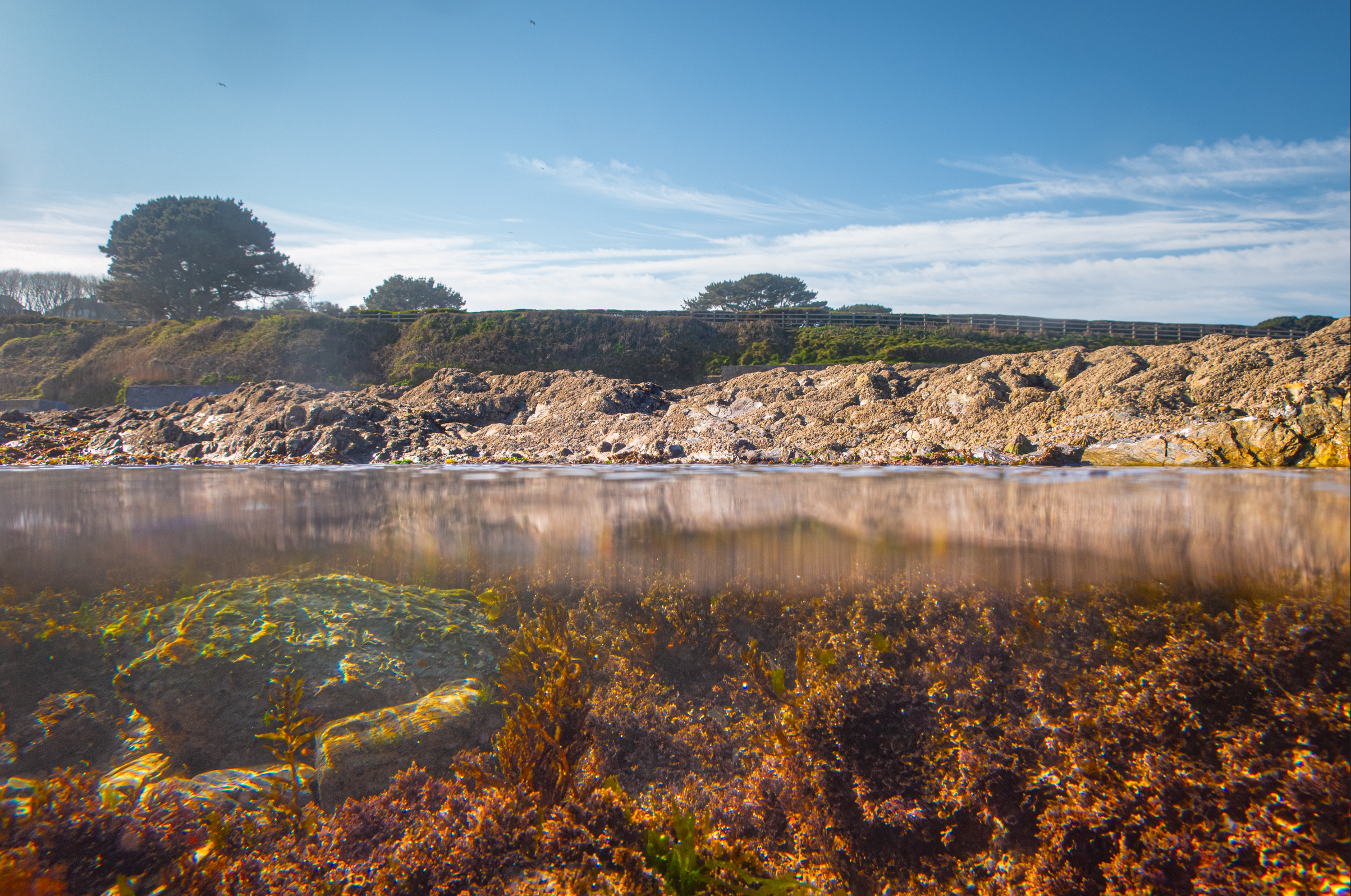 Screenshot 2025-05-22 220419.png