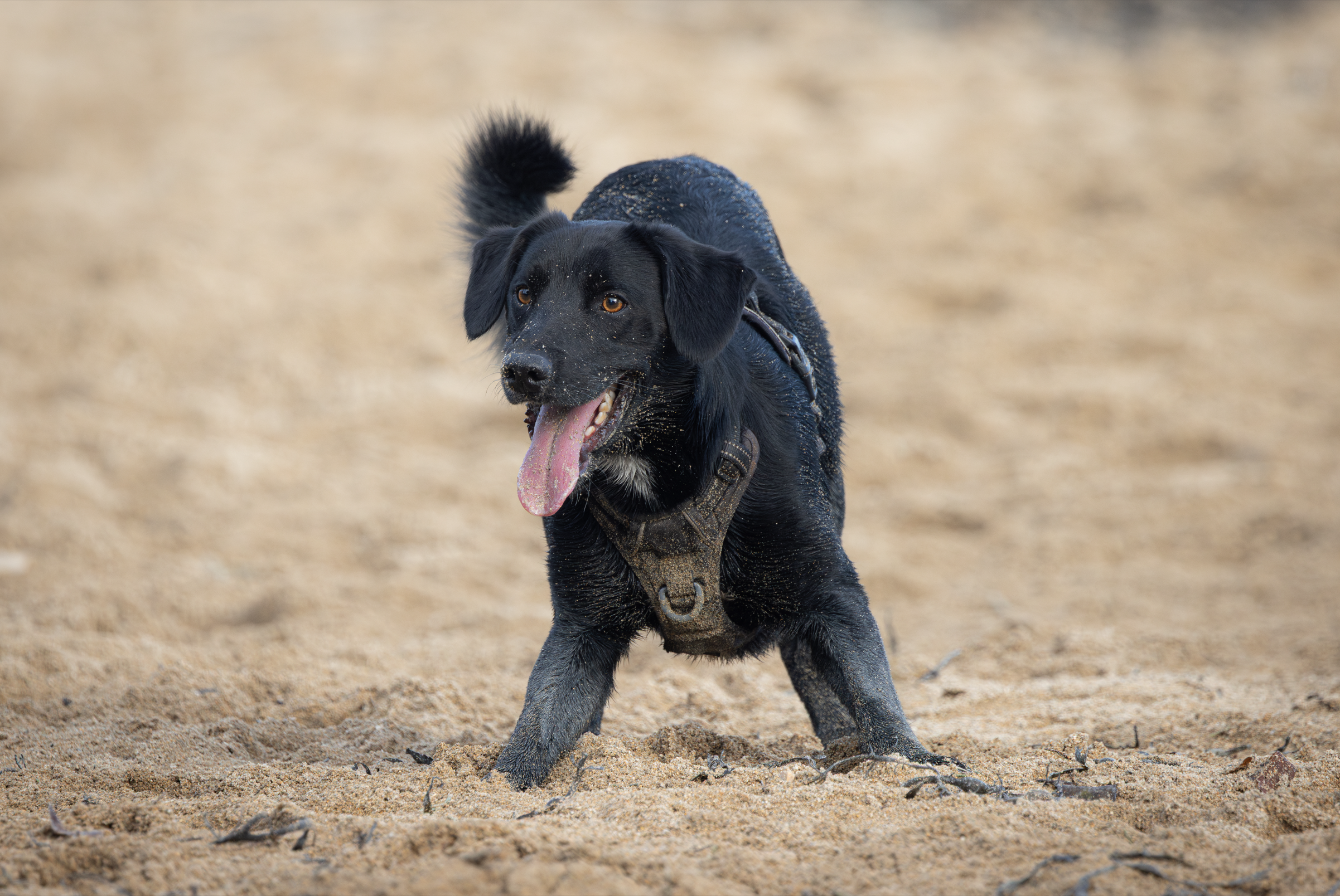 Screenshot 2026-02-04 223318.png