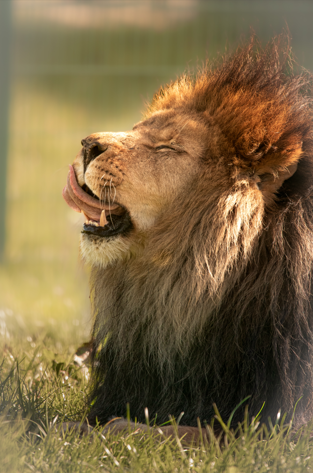 Screenshot (285).png