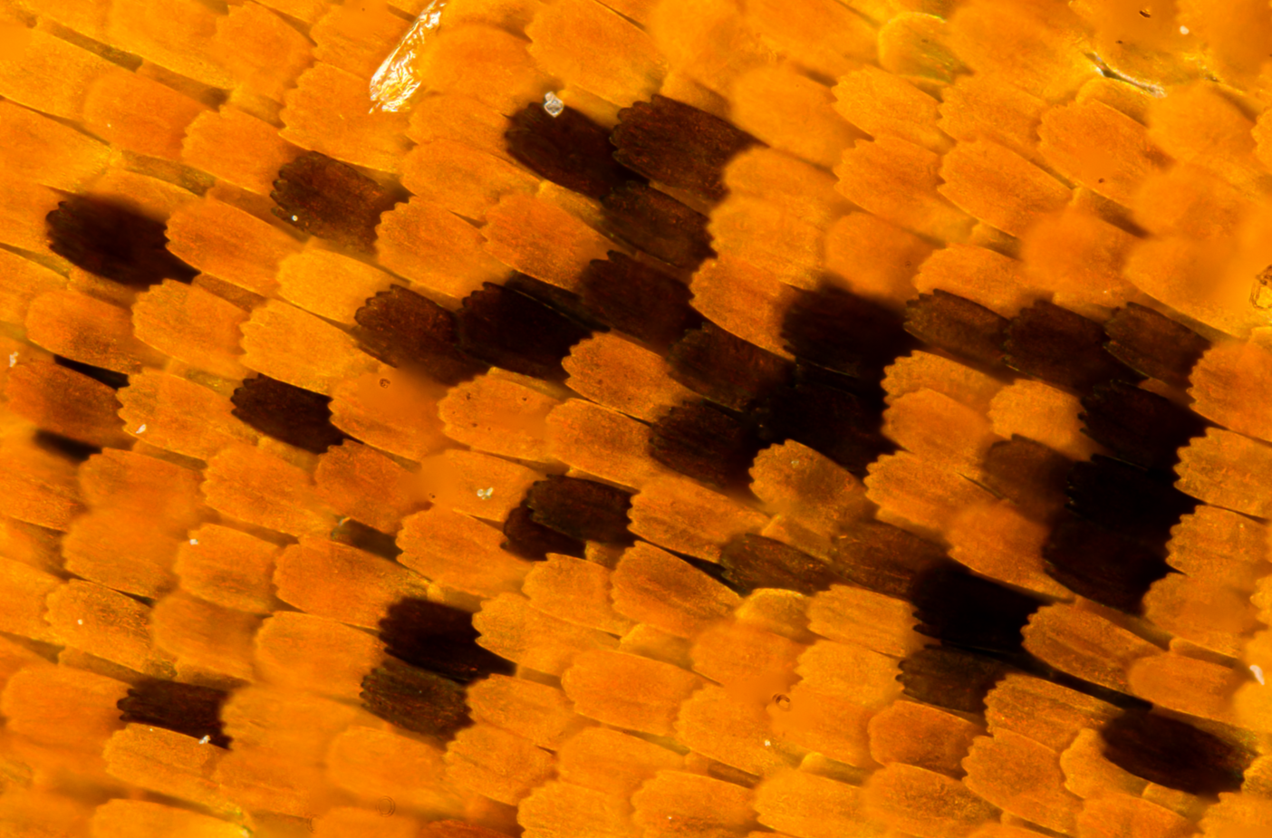 Screenshot 2025-12-20 230840.png