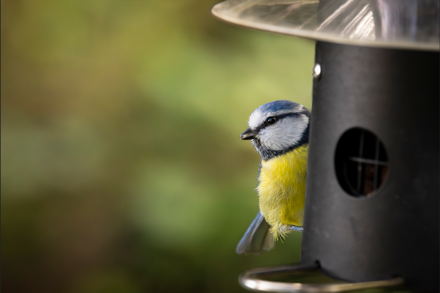 Screenshot (110).png