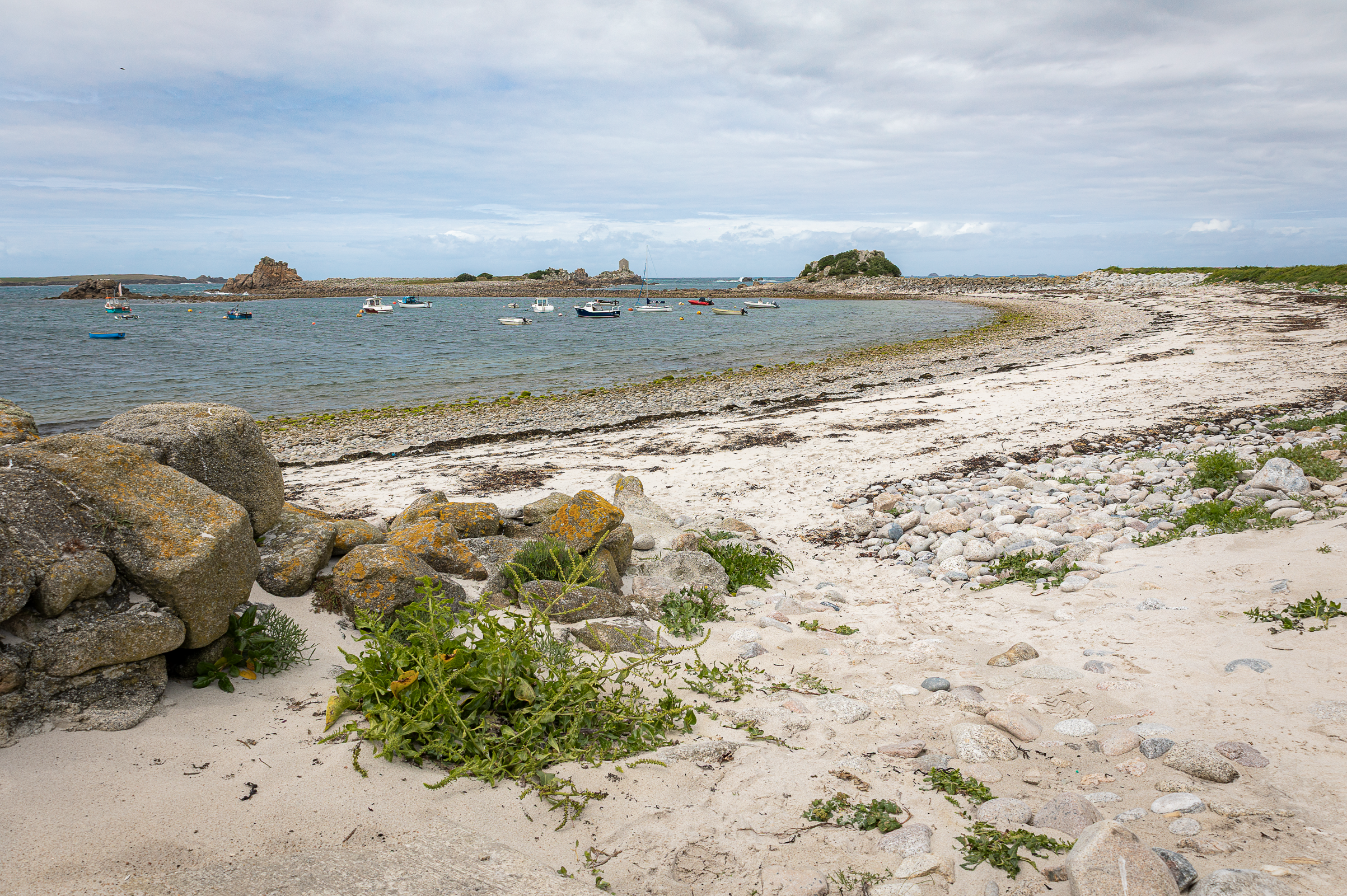 Screenshot 2026-02-05 120953.png