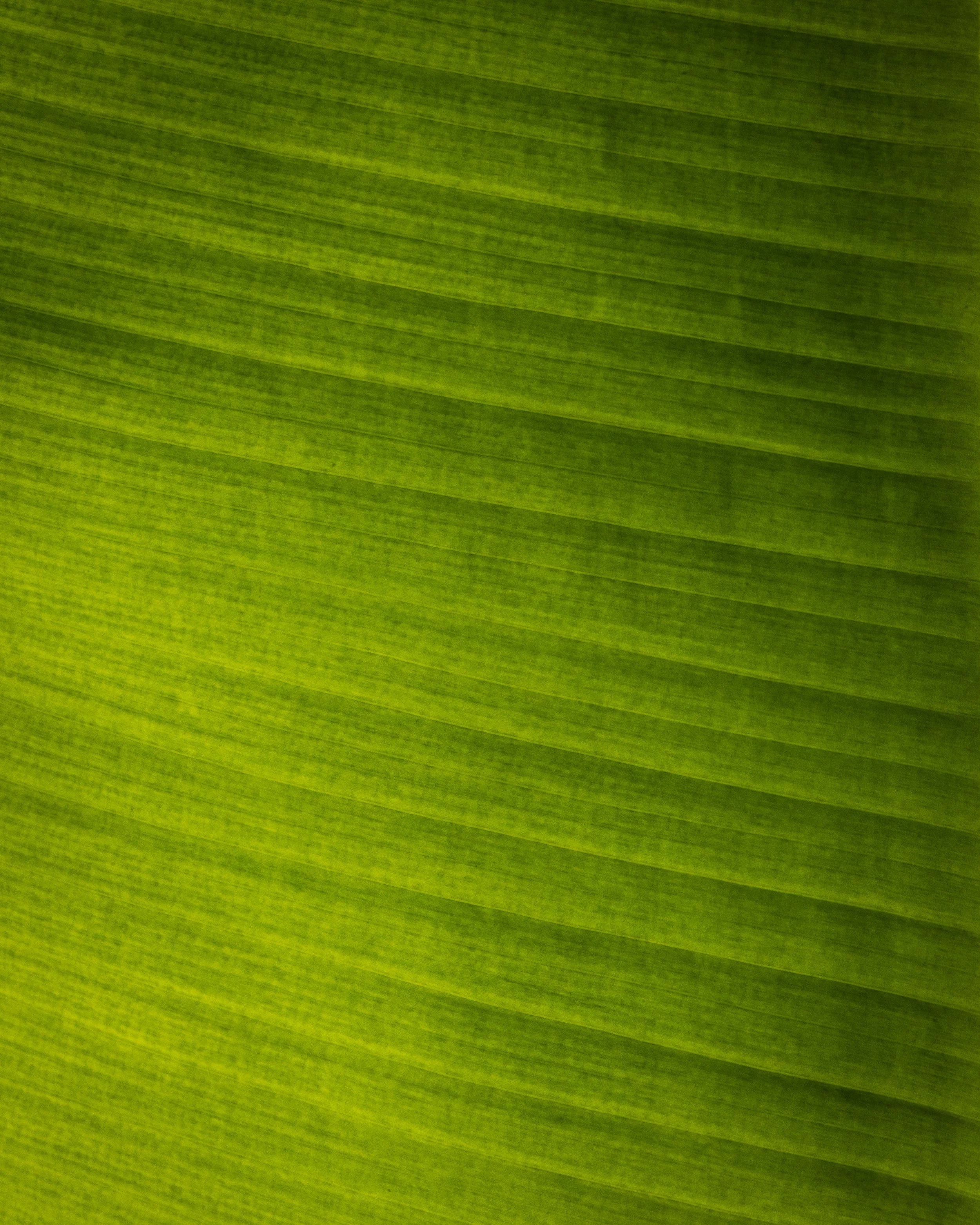 _92A0104.jpg