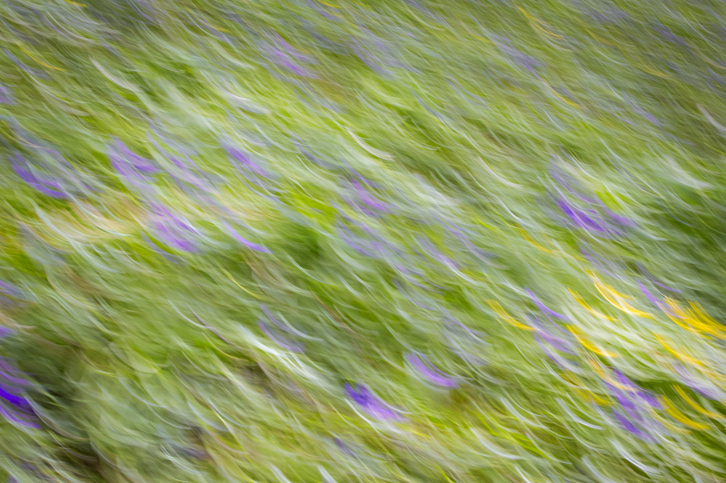 Screenshot (467).png