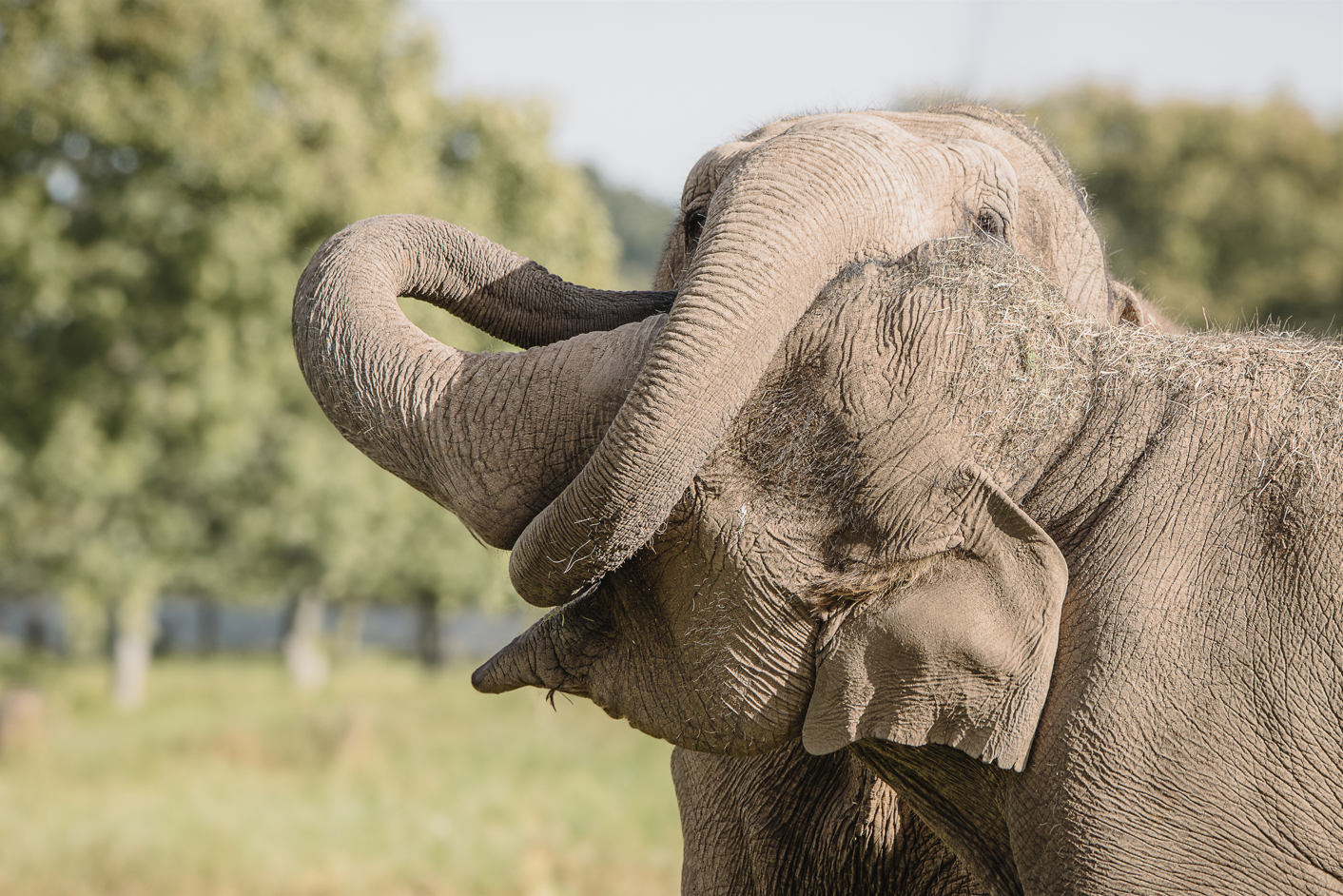 Screenshot (249).png