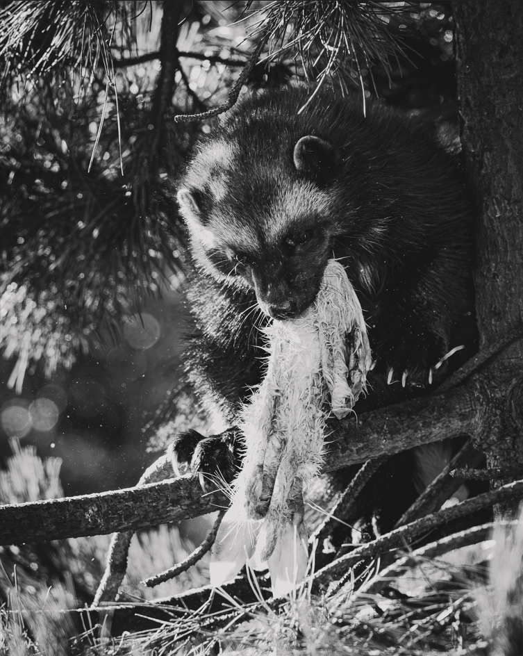 Screenshot (233).png