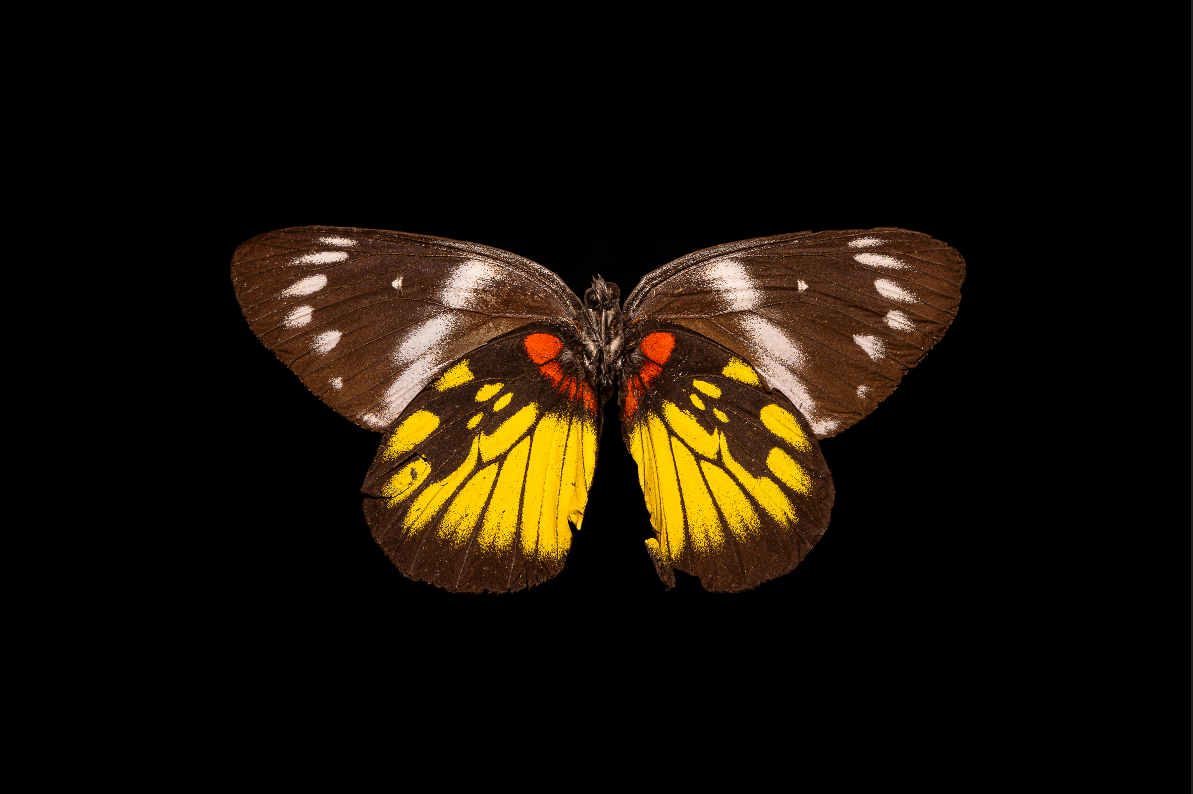 Screenshot 2025-12-20 231033.png