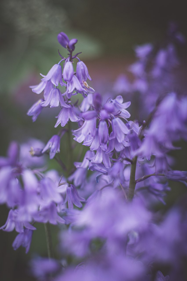 Screenshot (158).png