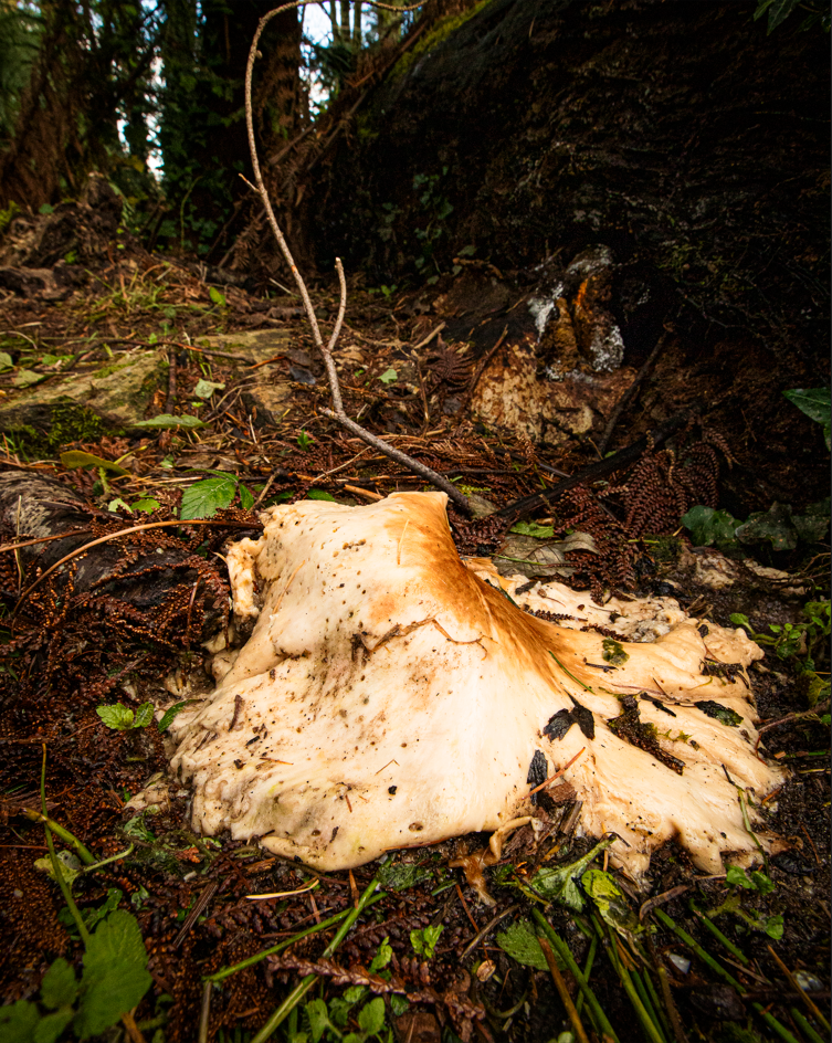 Screenshot (173).png