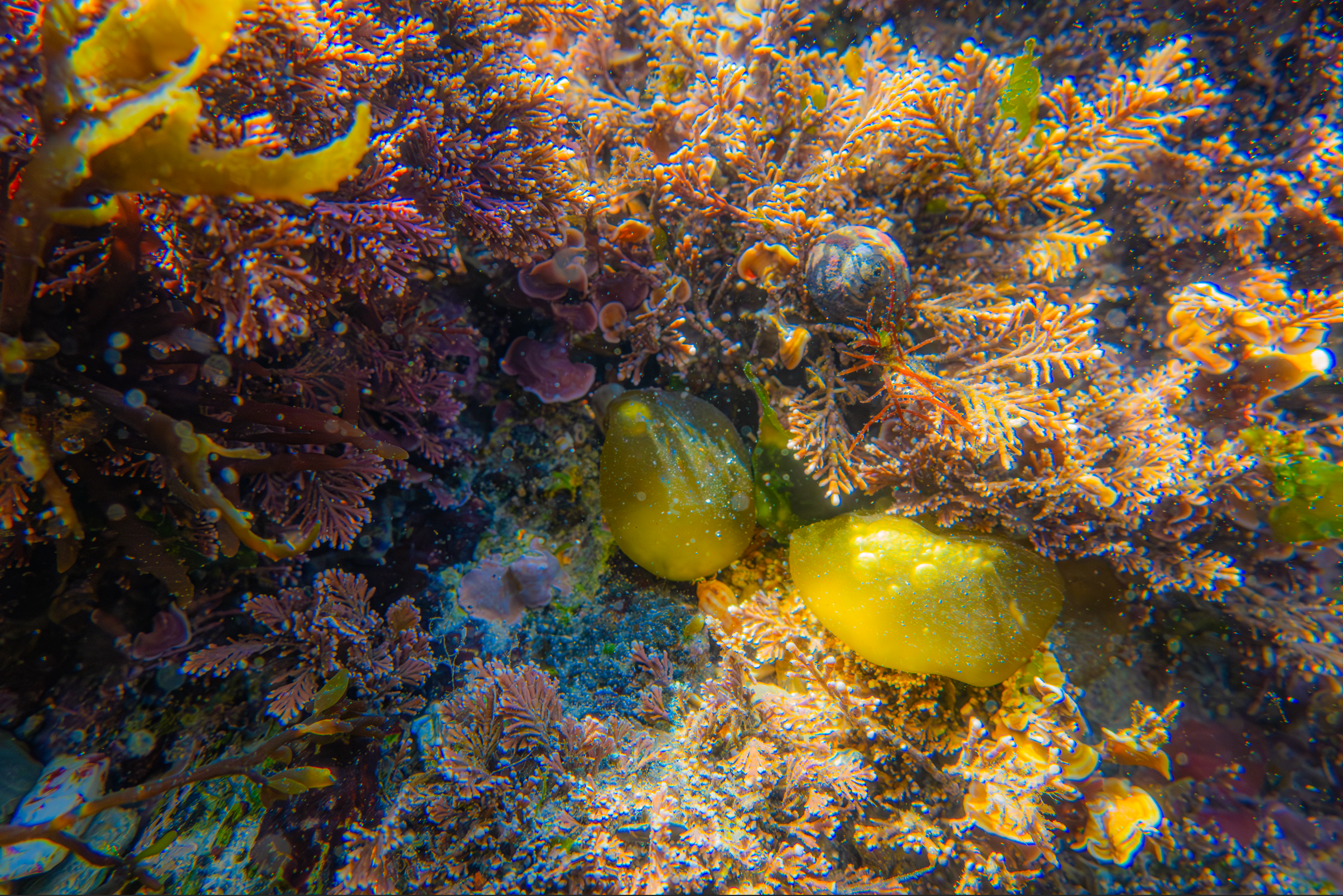 Screenshot 2025-05-22 220438.png