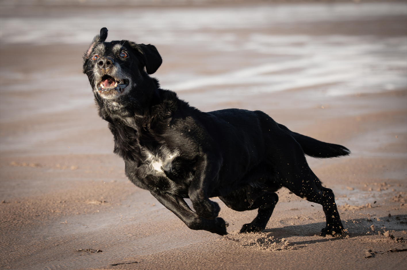 Screenshot (319).png