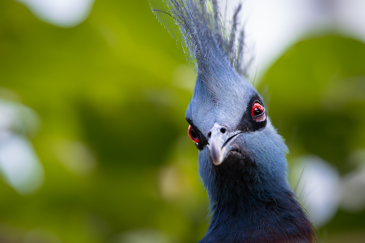 Screenshot (223).png