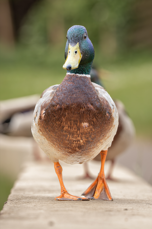 Screenshot (137).png