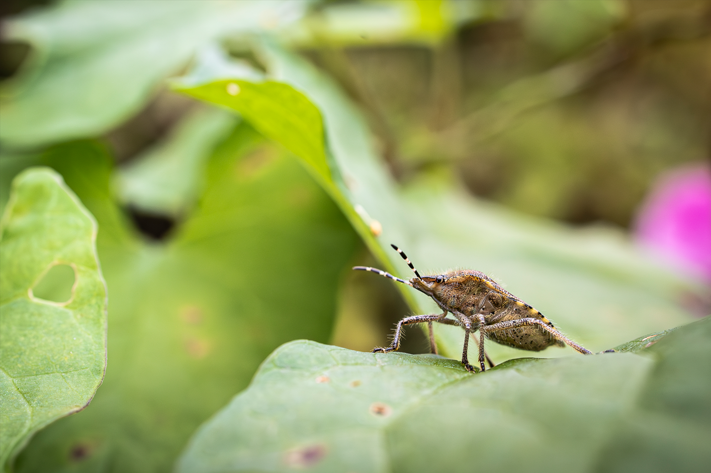 Screenshot (108).png