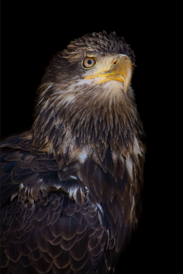 Screenshot (311).png