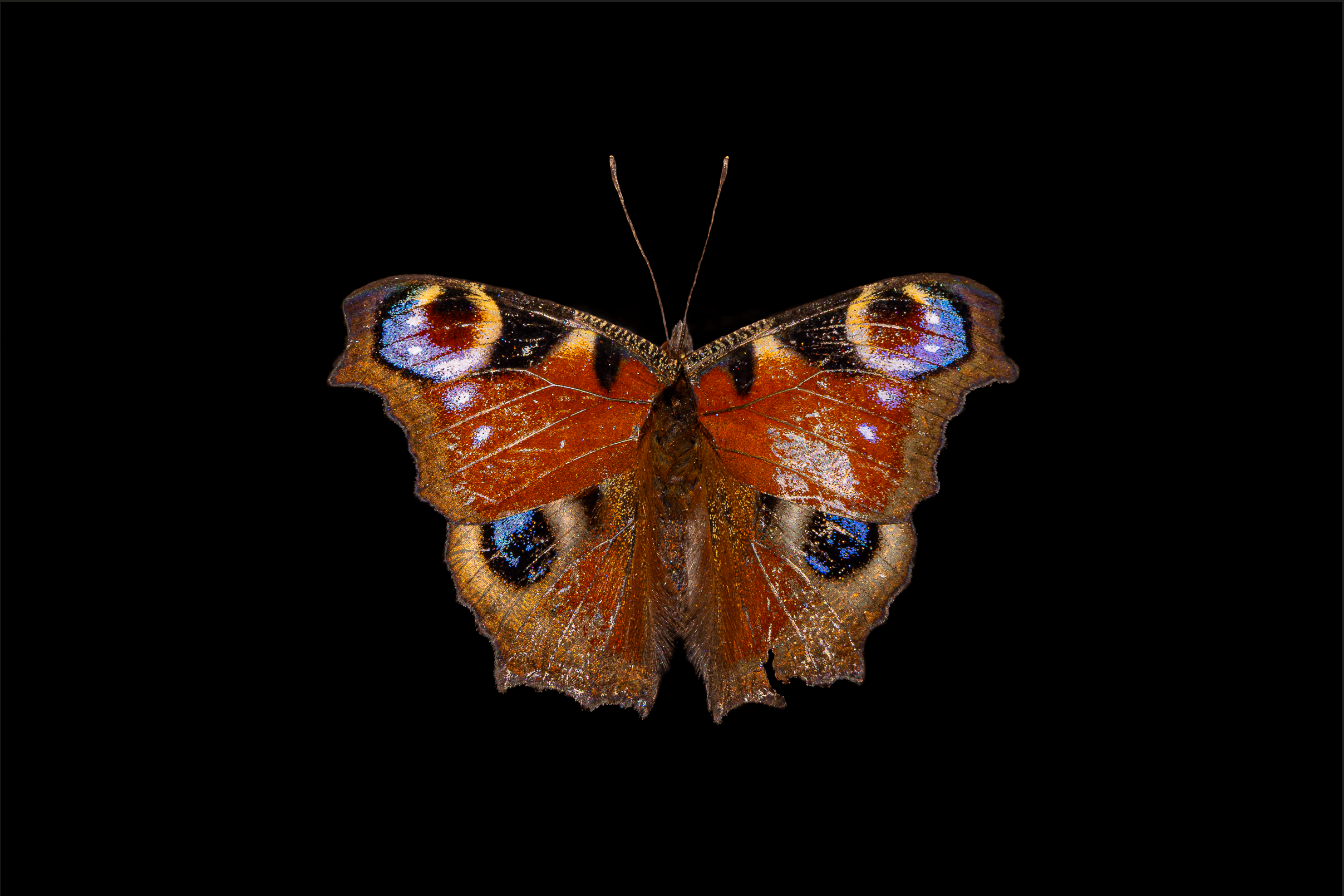 Screenshot 2025-12-20 230400.png