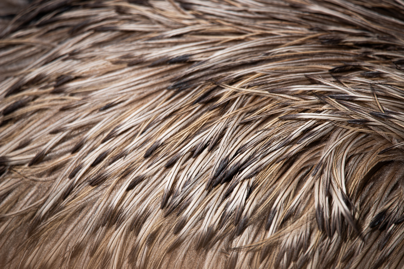 Screenshot (280).png