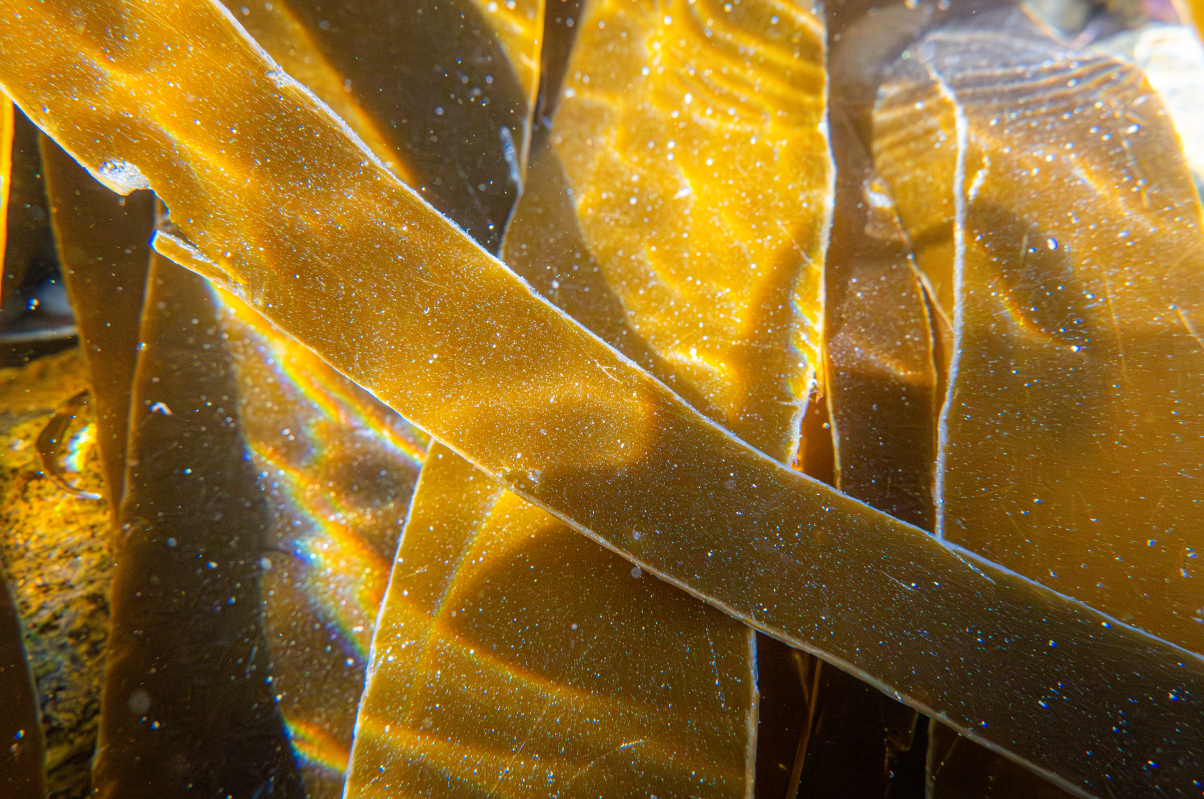 Screenshot 2025-05-22 220503.png