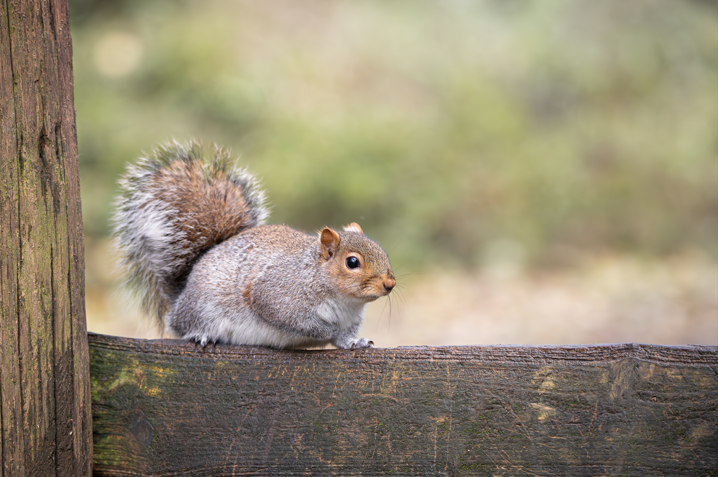 Screenshot (133).png