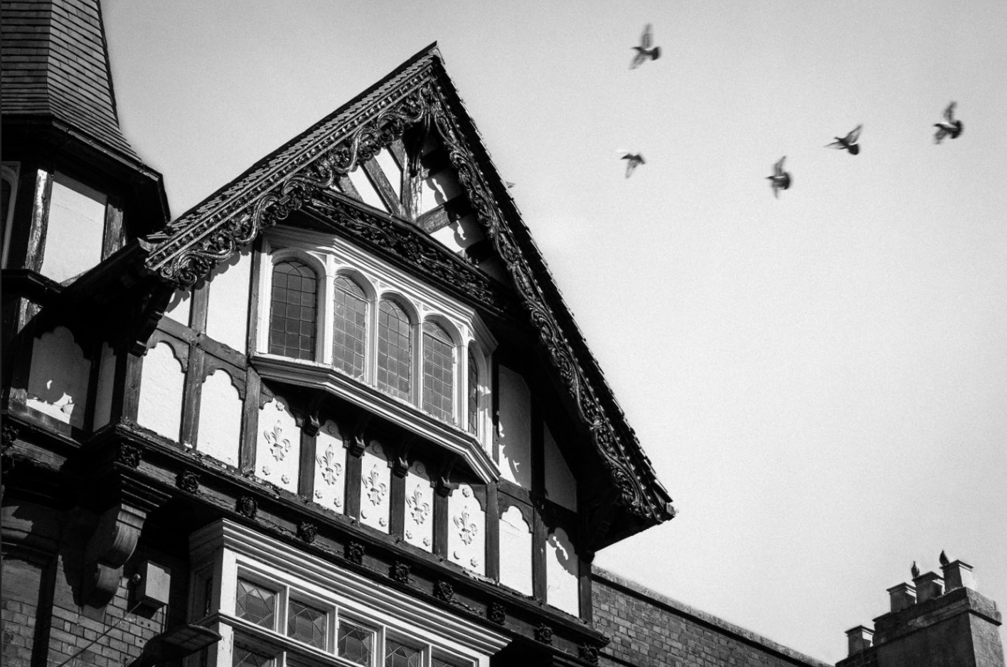 Screenshot (417).png