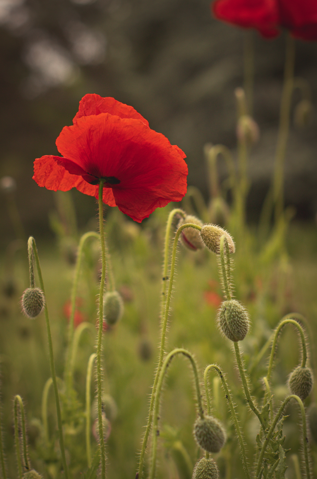 Screenshot (188).png