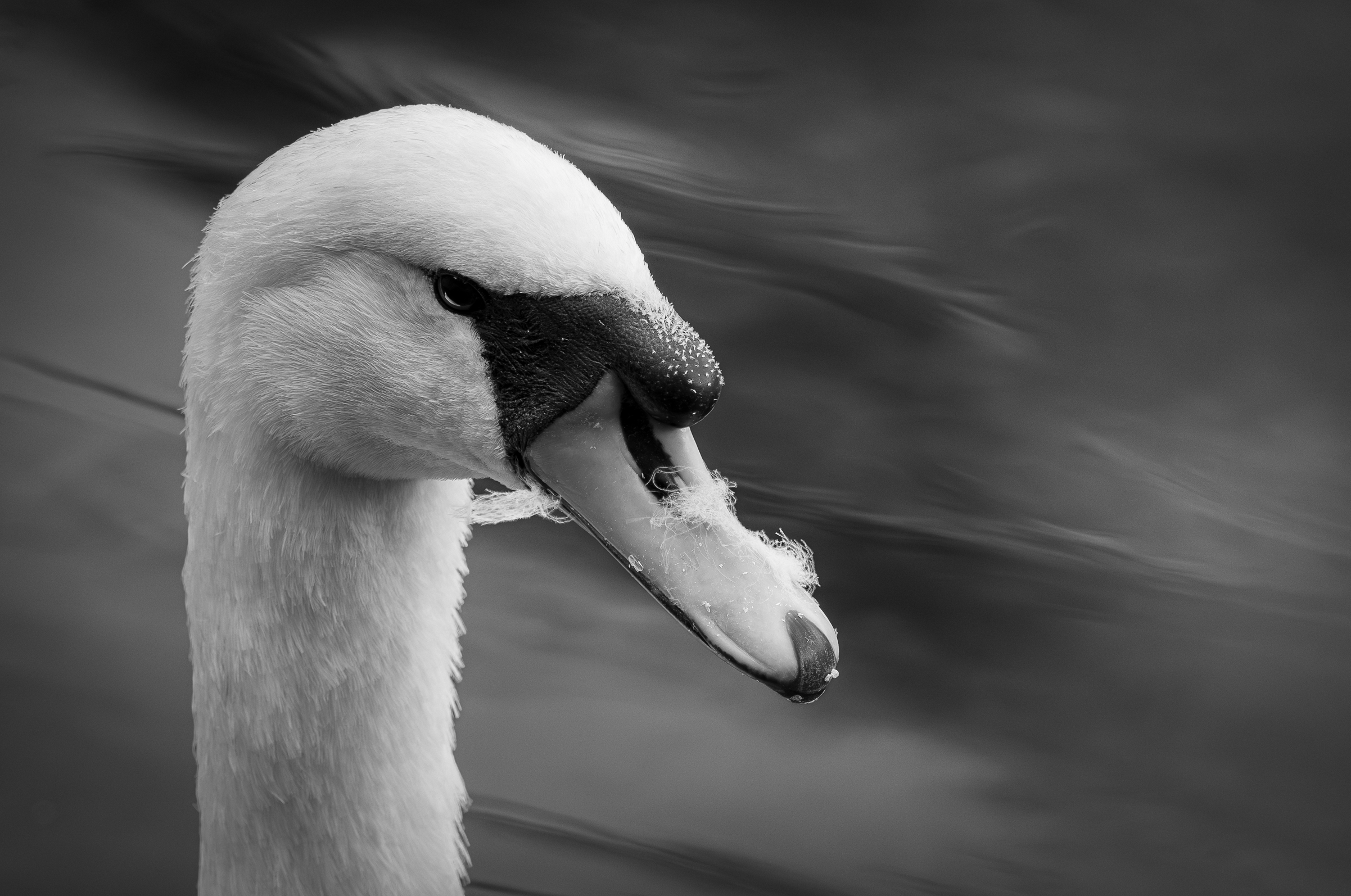 Screenshot 2025-12-25 130502.png