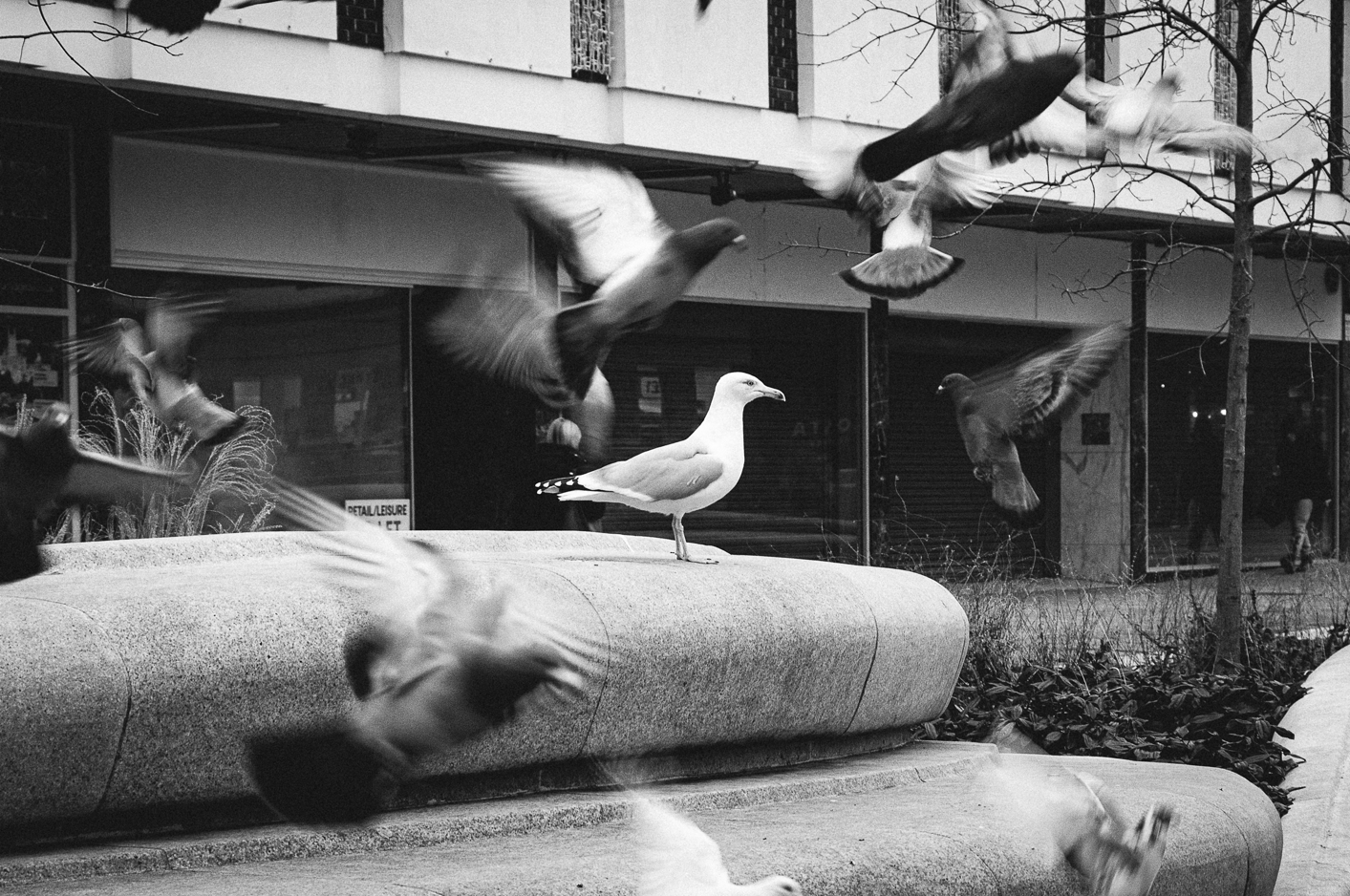 Screenshot (386).png